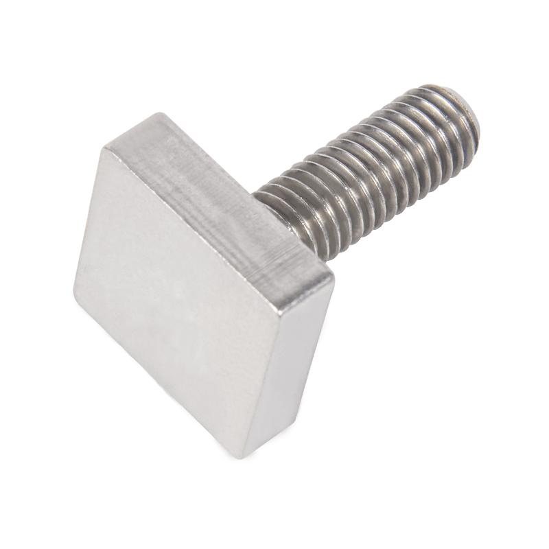 Customized Special Screw with Square Head